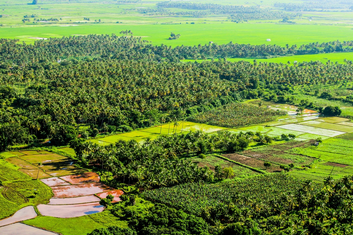 Land Resource Management